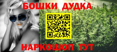стаф Кимры